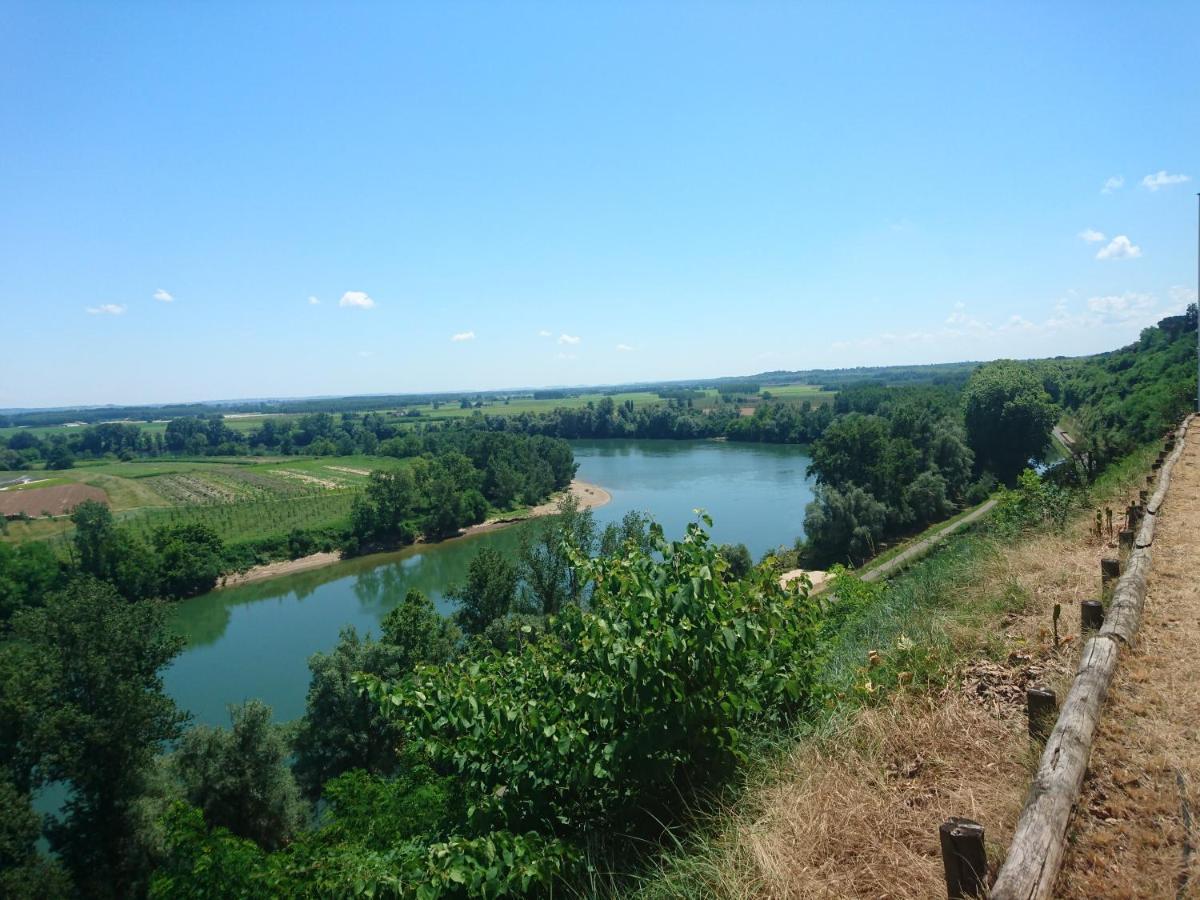 Location Meublee Au Milieu D'Un Ecrin De Verdure Aux Vieux Fours Noaillac Ngoại thất bức ảnh